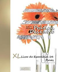 bokomslag Prática Desenho - XL Livro de Exercícios 14