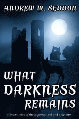 What Darkness Remains: Thirteen Tales of the Supernatural and Unknown 1