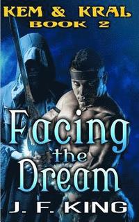 bokomslag Facing the Dream: M/M Fantasy