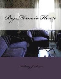 bokomslag Big Mama's House