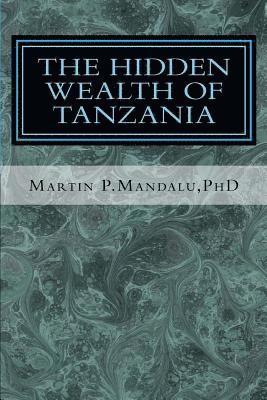 bokomslag The Hidden Wealth of Tanzania