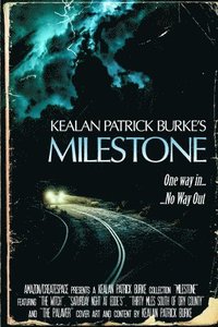 bokomslag Milestone