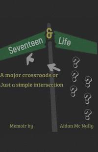 bokomslag 17 & Life: Corner or Crossroads ?