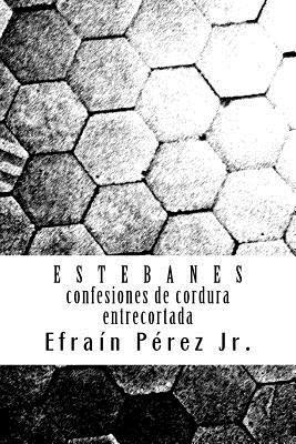 Efrain Perez Jr - E S T E B A N E S: Confesiones de Cordura Entrecortada, Häftad