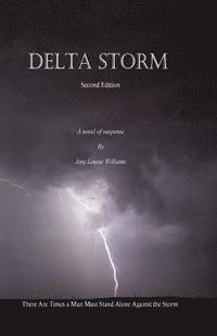 bokomslag Delta Storm: There Are Times a Man Must Stand Alone Against the Storm