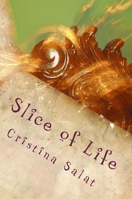 Cristina Salat - Slice of Life, Häftad