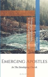 bokomslag Emerging Apostles in the Developing Church
