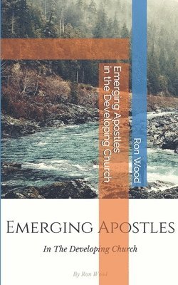 Ron Wood - Emerging Apostles in the Developing Church, Häftad