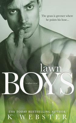 bokomslag Lawn Boys