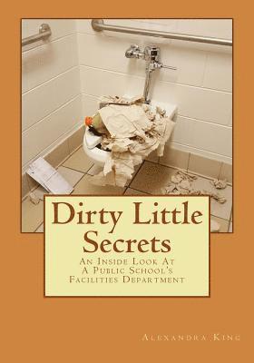 bokomslag Dirty Little Secrets: An Inside Look at a Public School