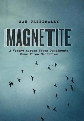 bokomslag Magnetite: A Voyage across Seven Continents over Three Centuries