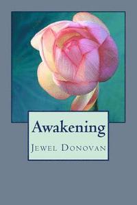 bokomslag Awakening