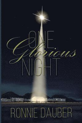bokomslag One Glorious Night