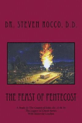 bokomslag The Feast of Pentecost: A Study in The Gospel of John chs .15 & 16