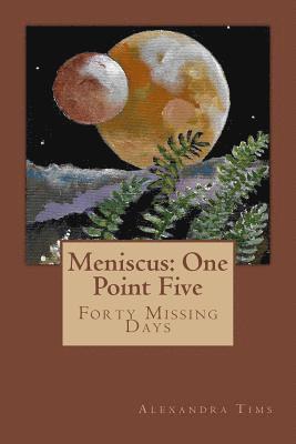 Meniscus: One Point Five 1