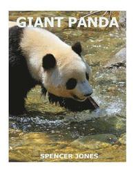 bokomslag Giant Panda