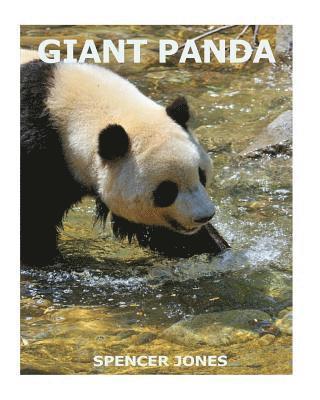 Giant Panda