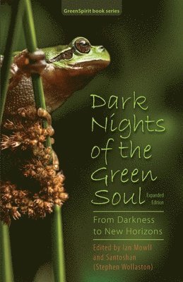 bokomslag Dark Nights of the Green Soul