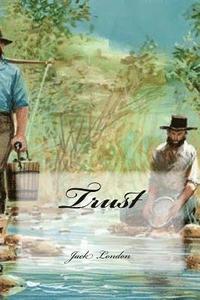 bokomslag Trust