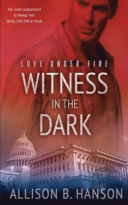 Allison B. Hanson - Witness in the Dark, Häftad
