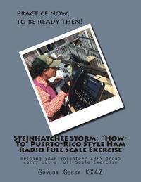 bokomslag Steinhatchee Storm: 'How-To' Puerto-Rico Style Ham Radio Full Scale Exercise: Helping your volunteer ARES group carry out a Full Scale Exe