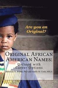 bokomslag Original African American Names: Defined with Career Options