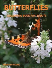 bokomslag Butterflies: Coloring Book for Adults