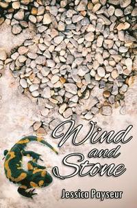 bokomslag Wind and Stone