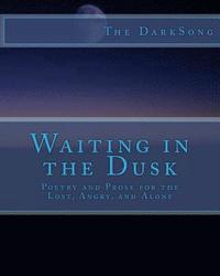 bokomslag Waiting in the Dusk: Poetry and Prose for the Lost and Alone