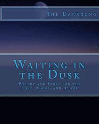 bokomslag Waiting in the Dusk: Poetry and Prose for the Lost and Alone