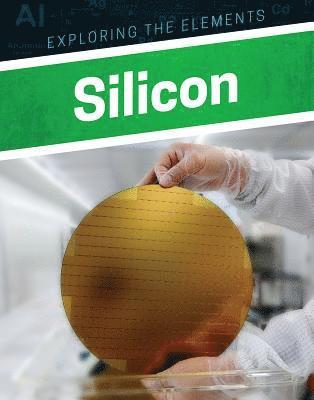 Clara Maccarald - Silicon, Inbunden