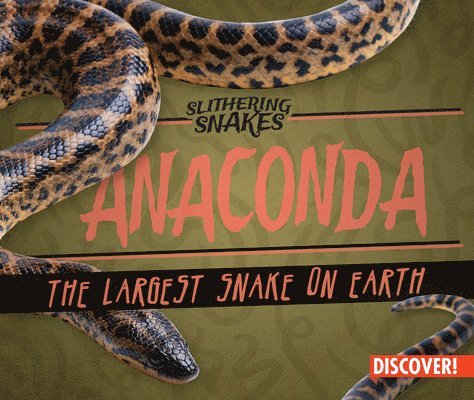 Anaconda: The Largest Snake on Earth 1