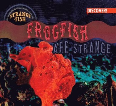 bokomslag Frogfish Are Strange