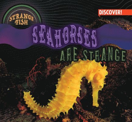 Natalie Humphrey - Seahorses Are Strange, Inbunden