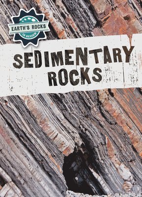 Sedimentary Rocks 1