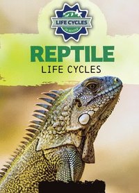 bokomslag Reptile Life Cycles