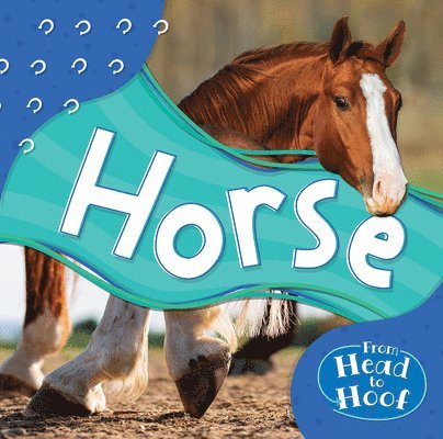 Alex Hall - Horse, Inbunden