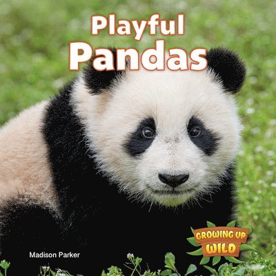Madison Parker - Playful Pandas, Häftad. Tillgänglighet: Lägg i varukorg