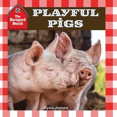 bokomslag Playful Pigs