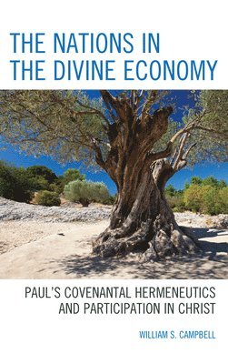 William S. Campbell - Nations in the Divine Economy, Inbunden