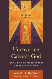 bokomslag Uncovering Calvin's God