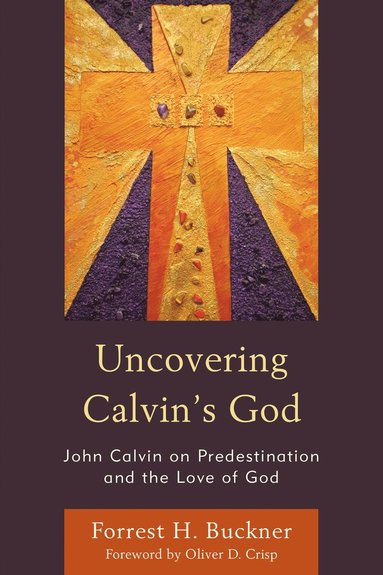 bokomslag Uncovering Calvin's God