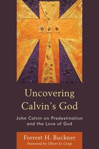 bokomslag Uncovering Calvins God