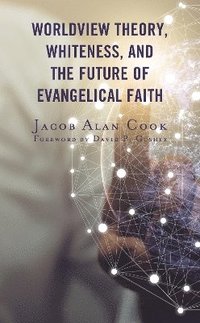 bokomslag Worldview Theory, Whiteness, and the Future of Evangelical Faith