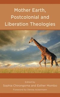 bokomslag Mother Earth, Postcolonial and Liberation Theologies