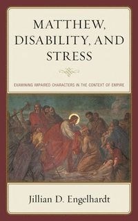 bokomslag Matthew, Disability, and Stress
