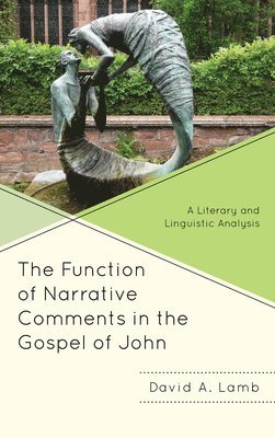 bokomslag Function of Narrative Comments in the Gospel of John