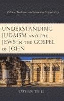 bokomslag Understanding Judaism and the Jews in the Gospel of John