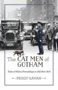 bokomslag The Cat Men of Gotham: Tales of Feline Friendships in Old New York