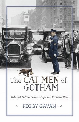 bokomslag The Cat Men of Gotham: Tales of Feline Friendships in Old New York